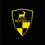 wadi degla clubs android application logo